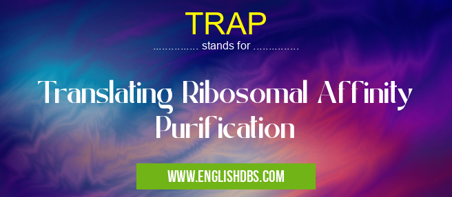 TRAP means Translating Ribosomal Affinity Purification TRAP