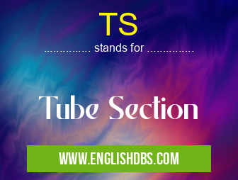 TS means Tube Section TS