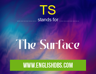 TS means The Surface TS
