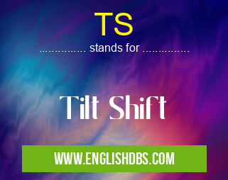 TS means Tilt Shift TS