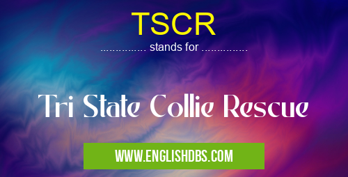 TSCR