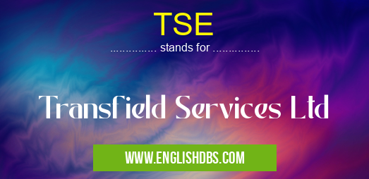 TSE means Transfield Services Ltd TSE