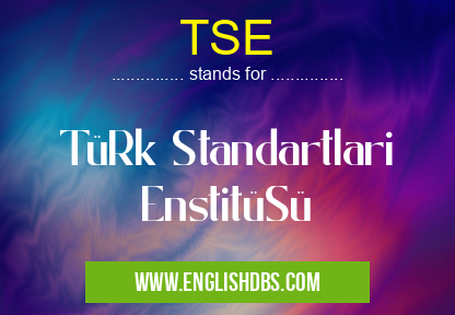 TSE means TüRk Standartlari EnstitüSü TSE