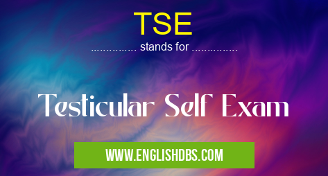 TSE means Testicular Self Exam TSE