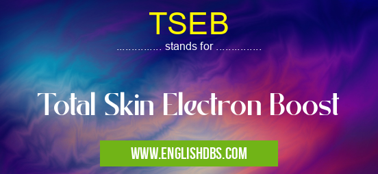 TSEB