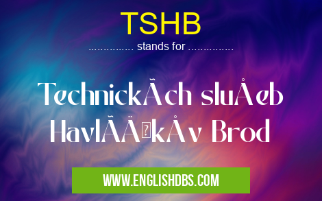 TSHB means Technických služeb HavlÃÄkův Brod TSHB