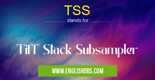 TSS means Tiff Stack Subsampler TSS