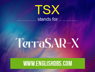 TSX means TerraSAR-X TSX