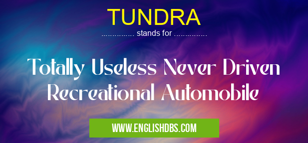 TUNDRA means Totally Useless Never Driven Recreational Automobile TUNDRA