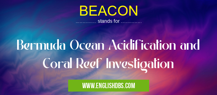 BEACON means Bermuda Ocean Acidification and Coral Reef Investigation BEACON