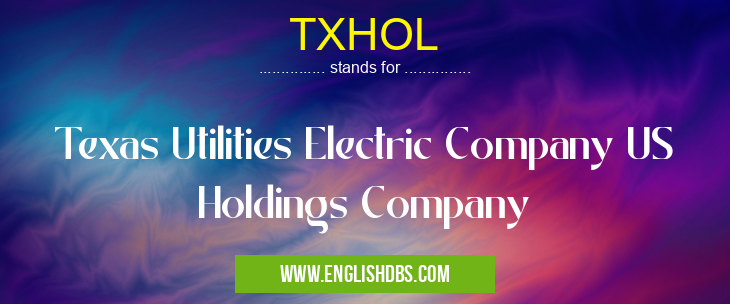TXHOL means Texas Utilities Electric Company US Holdings Company TXHOL