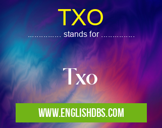 TXO means Txo TXO