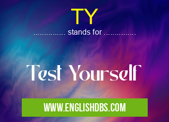 TY means Test Yourself TY