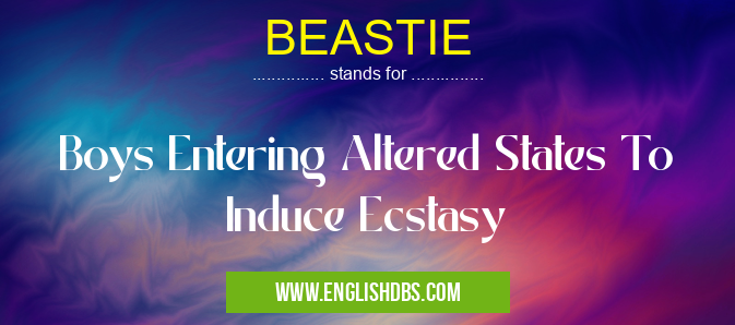 BEASTIE means Boys Entering Altered States To Induce Ecstasy BEASTIE
