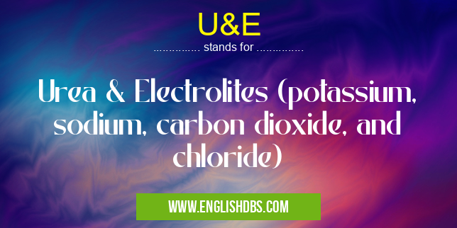 U&E means Urea & Electrolites (potassium, sodium, carbon dioxide, and chloride) U&E