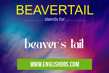 BEAVERTAIL means beaver's tail BEAVERTAIL