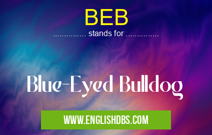 BEB means Blue-Eyed Bulldog BEB