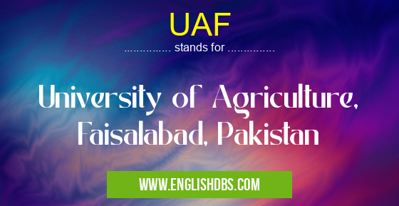 UAF means University of Agriculture, Faisalabad, Pakistan UAF
