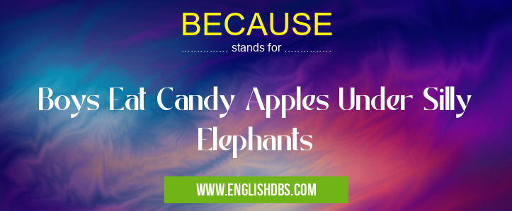 BECAUSE means Boys Eat Candy Apples Under Silly Elephants BECAUSE