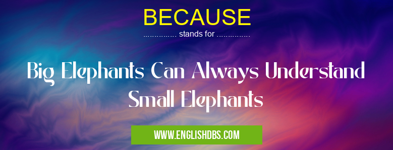 BECAUSE means Big Elephants Can Always Understand Small Elephants BECAUSE