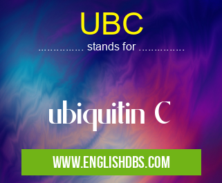 UBC means ubiquitin C UBC