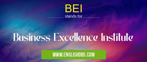 BEI means Business Excellence Institute BEI