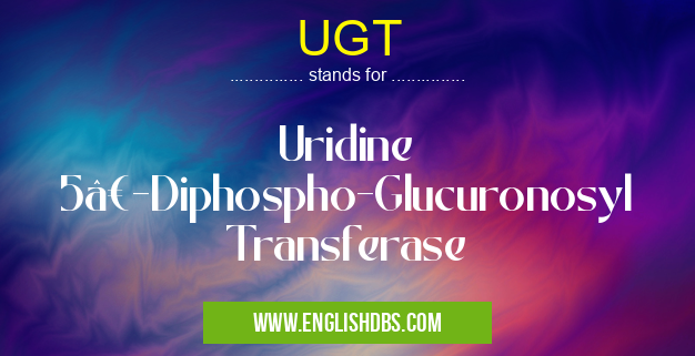 UGT means Uridine 5’-Diphospho-Glucuronosyl Transferase UGT