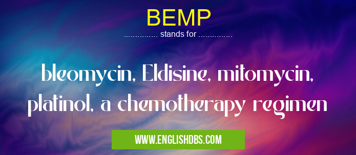 BEMP means bleomycin, Eldisine, mitomycin, platinol, a chemotherapy regimen BEMP