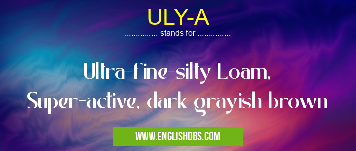 ULY-A means Ultra-fine-silty Loam, Super-active, dark grayish brown ULY-A