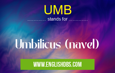 UMB means Umbilicus (navel) UMB