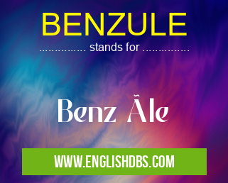 BENZULE means Benz üle BENZULE
