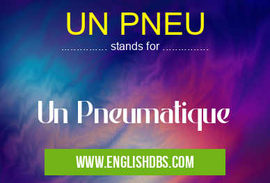 UN PNEU means Un Pneumatique UN PNEU