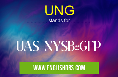 UNG means UAS-NYSB::GFP UNG