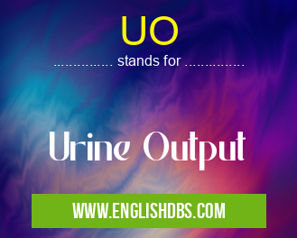 UO means Urine Output UO