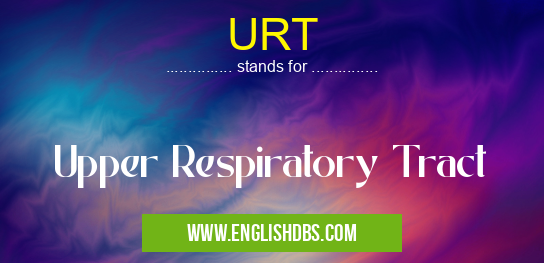 URT