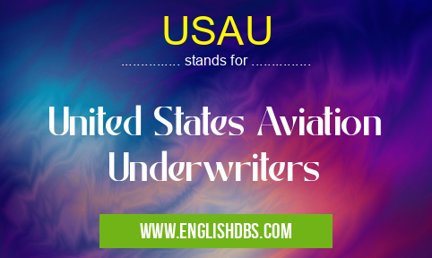 USAU means United States Aviation Underwriters USAU