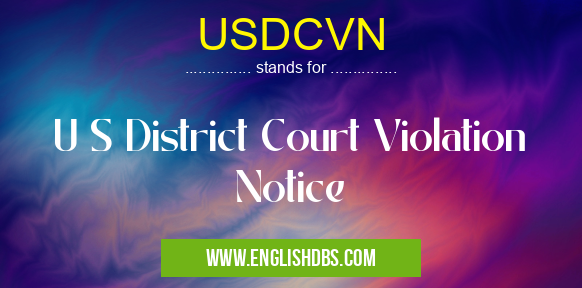 USDCVN means U S District Court Violation Notice USDCVN
