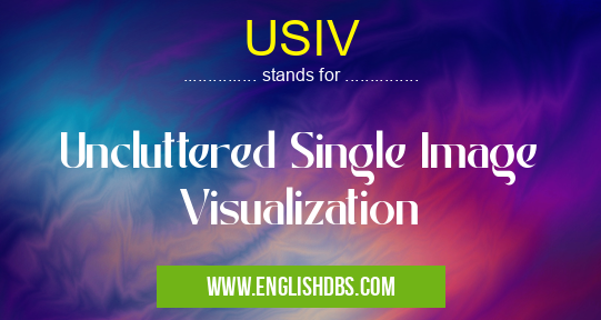 USIV means Uncluttered Single Image Visualization USIV