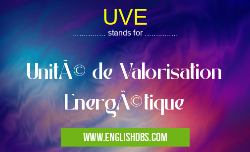 UVE means Unité de Valorisation Energétique UVE