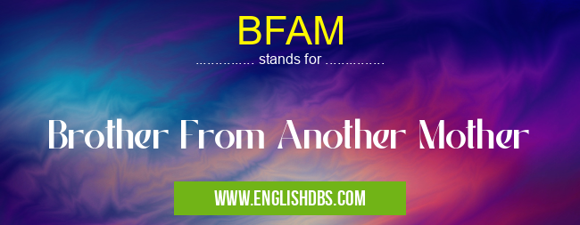 BFAM means Brother From Another Mother BFAM