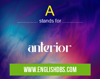 A means anterior A