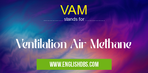 VAM means Ventilation Air Methane VAM