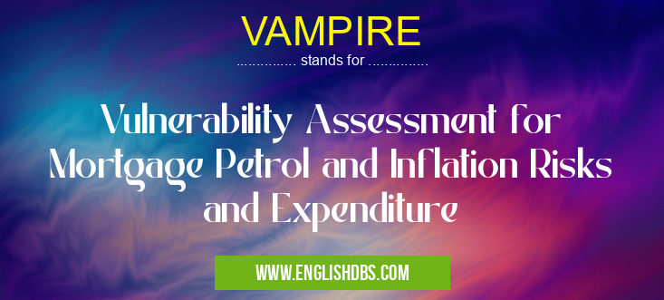 VAMPIRE means Vulnerability Assessment for Mortgage Petrol and Inflation Risks and Expenditure VAMPIRE