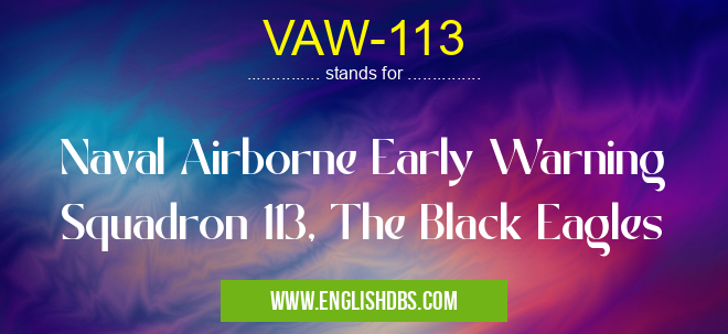 VAW-113 means Naval Airborne Early Warning Squadron 113, The Black Eagles VAW-113