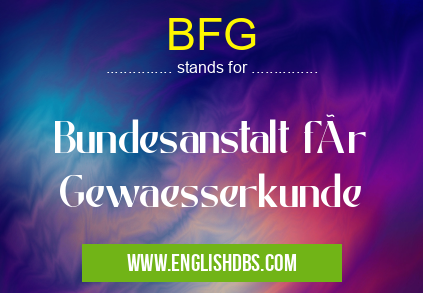 BFG means Bundesanstalt für Gewaesserkunde BFG