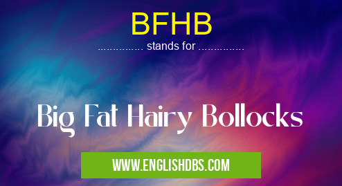 BFHB means Big Fat Hairy Bollocks BFHB