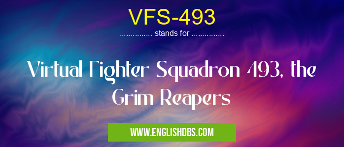 VFS-493 means Virtual Fighter Squadron 493, the Grim Reapers VFS-493