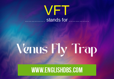 VFT means Venus Fly Trap VFT