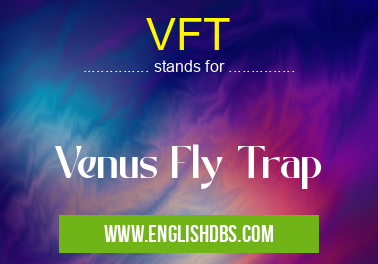 VFT