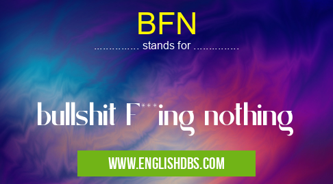 BFN means bullshit F***ing nothing BFN